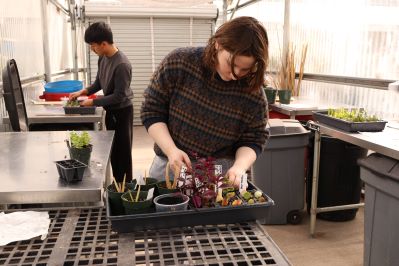 2 students taking care of plants