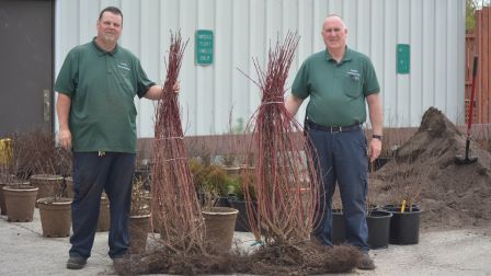 Agri-Hort Business with two guys planting outdoor trees. 