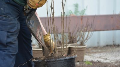 A guy planting some dirt into a pot for a plant to grow